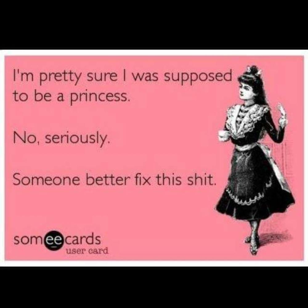 Meet your Posher, Ani