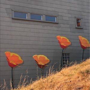 Meet your Posher, Peyton