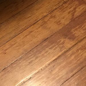 Meet your Posher, Micaela