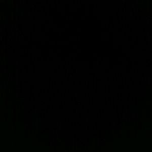 Meet your Posher, Marvin