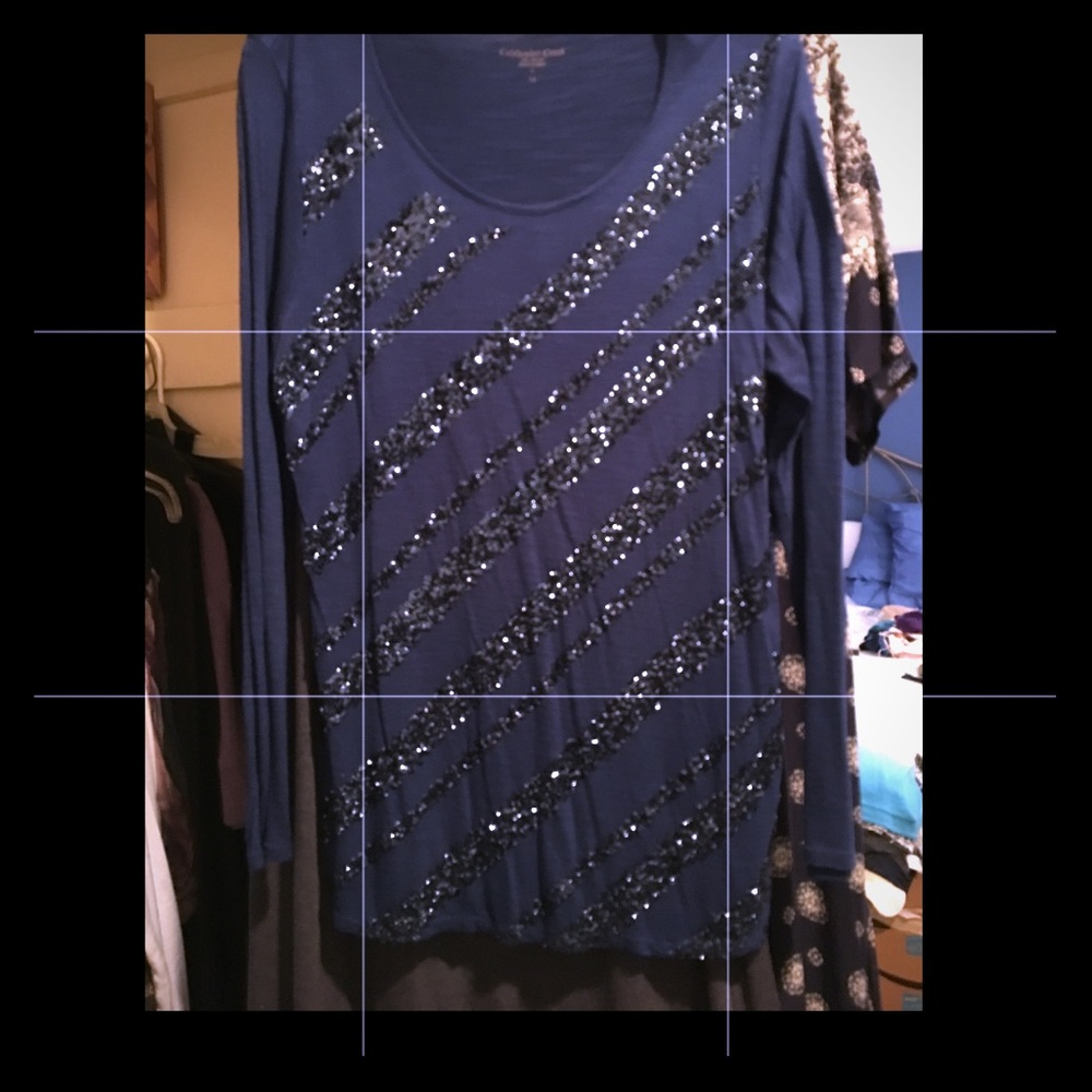 Coldwater Creek blue sequins long sleeve blouse