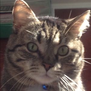 Meet your Posher, Bridgett