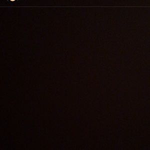 Meet your Posher, Gracie