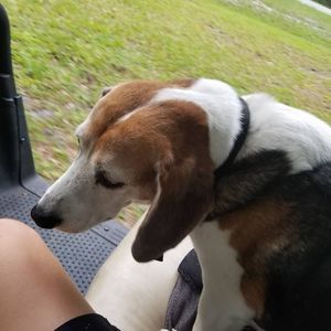 Meet your Posher, Wade