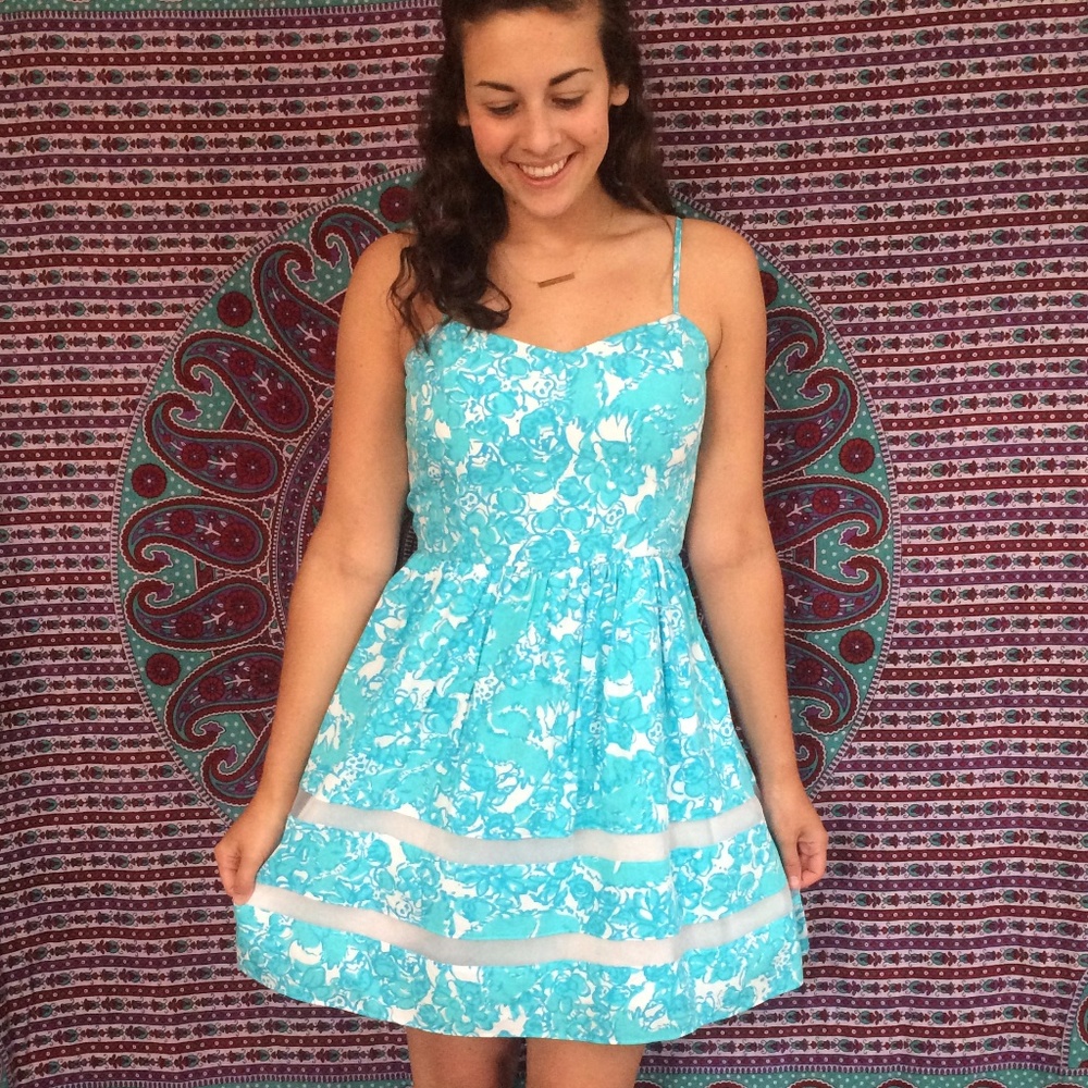 Ollie Fit and Flare Lilly Pulitzer Dress