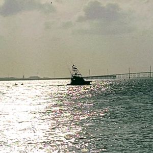 Meet your Posher, Anne