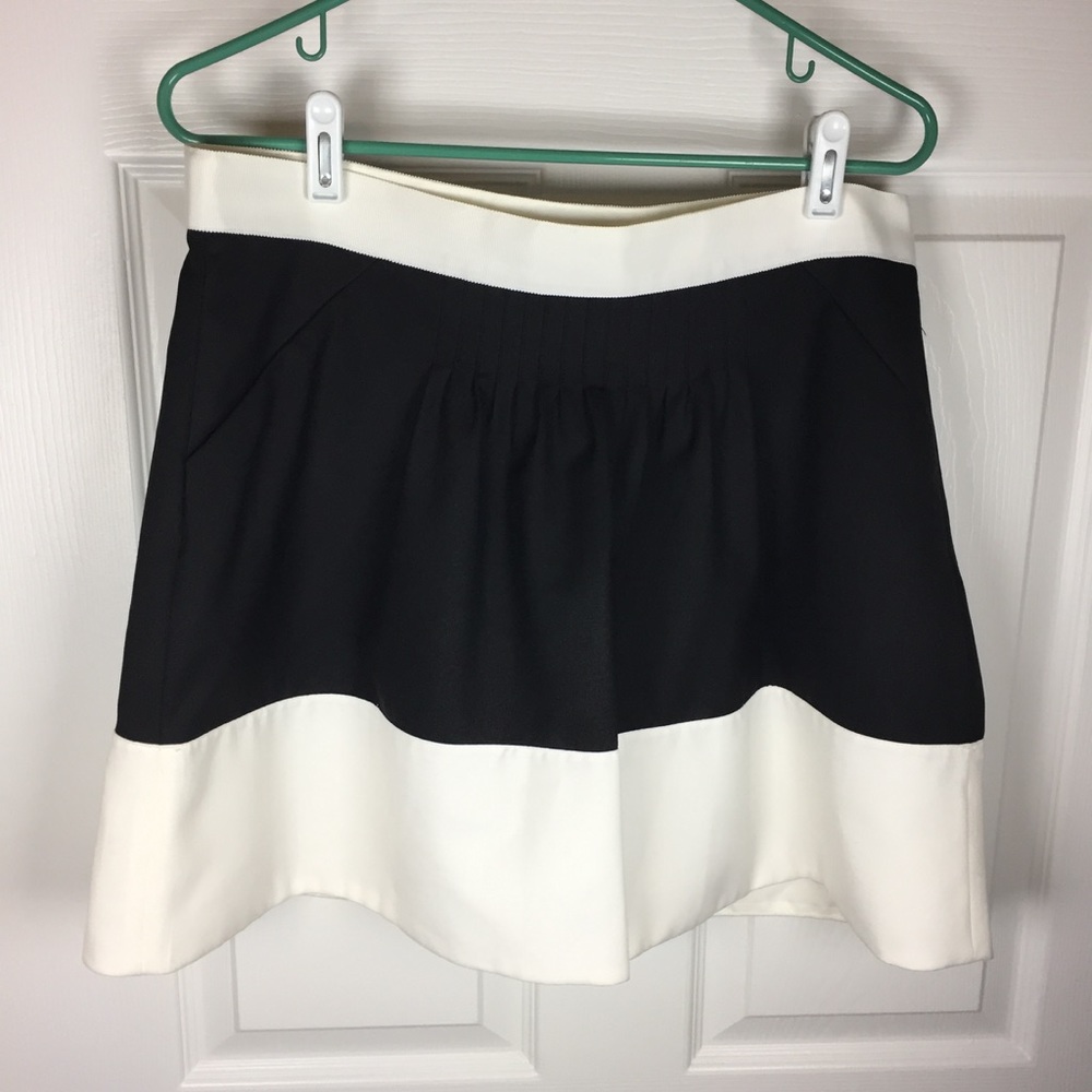 The Limited Collection Color Block Skirt