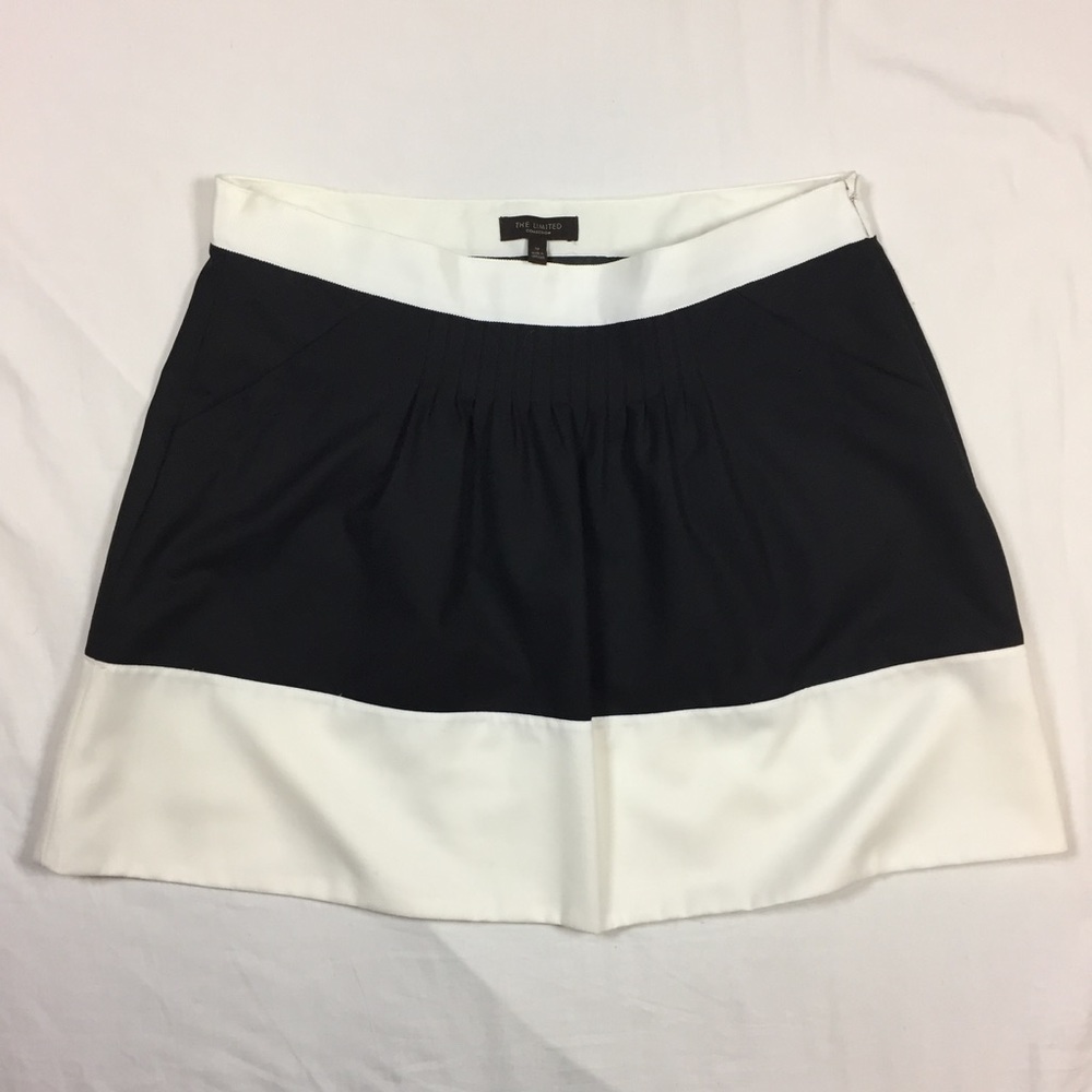 The Limited Collection Color Block Skirt - Picture 2 of 8