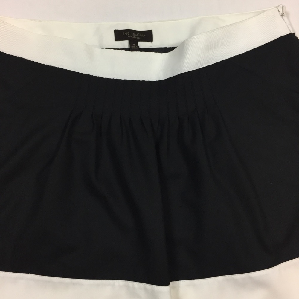 The Limited Collection Color Block Skirt - Picture 6 of 8