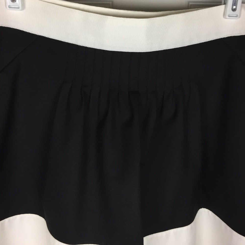 The Limited Collection Color Block Skirt - Picture 7 of 8