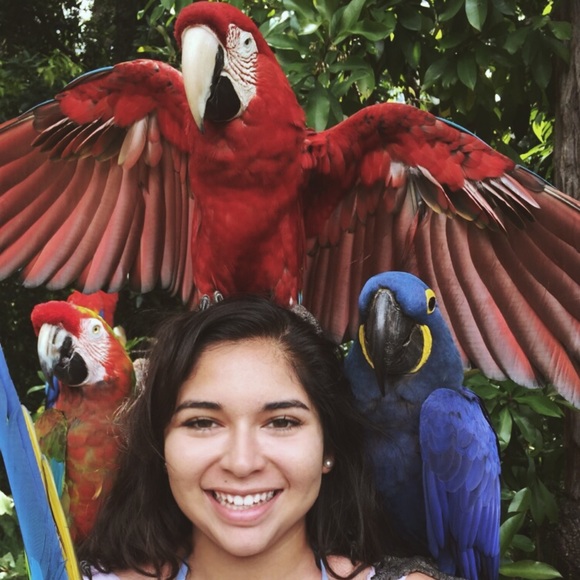 Meet your Posher, Julia - Picture 3 of 4