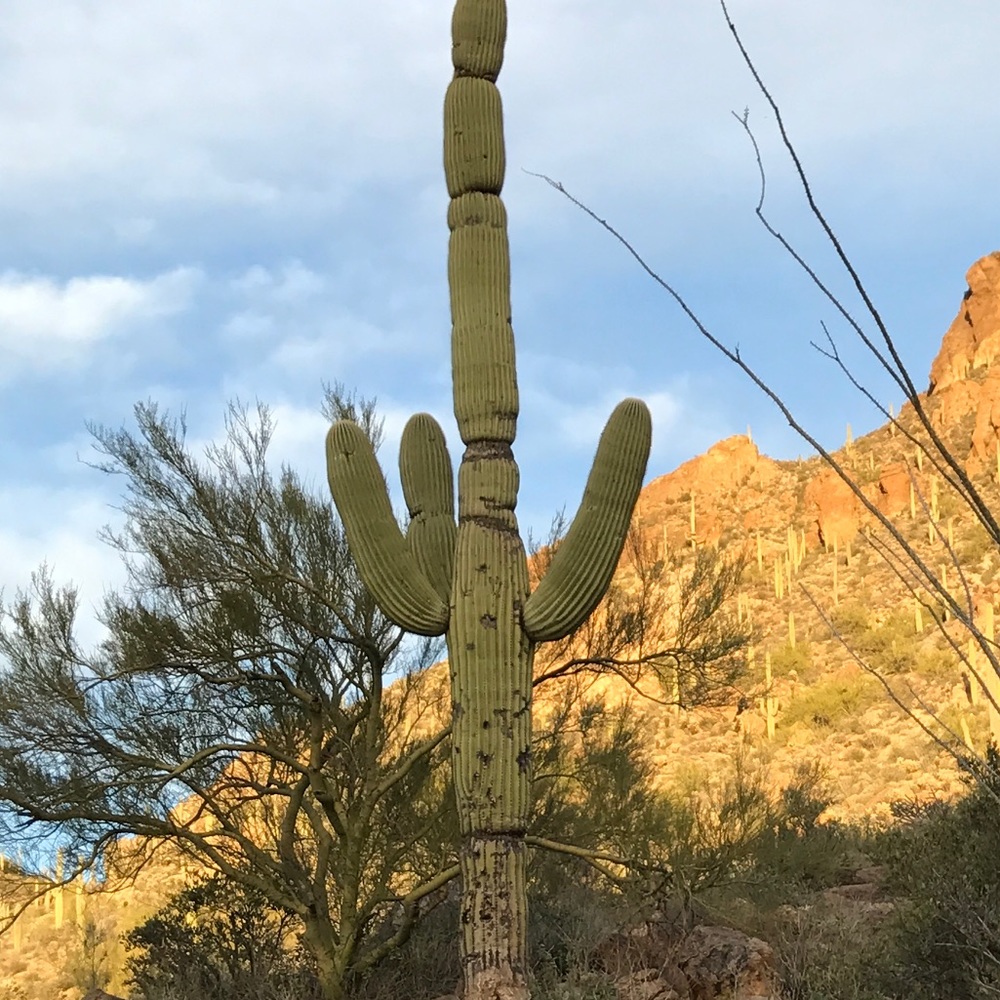 Meet your Posher, Colleen