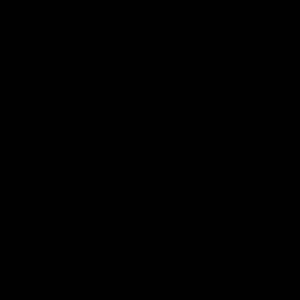 Meet your Posher, Kaitlyn