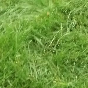 Meet your Posher, Priscila