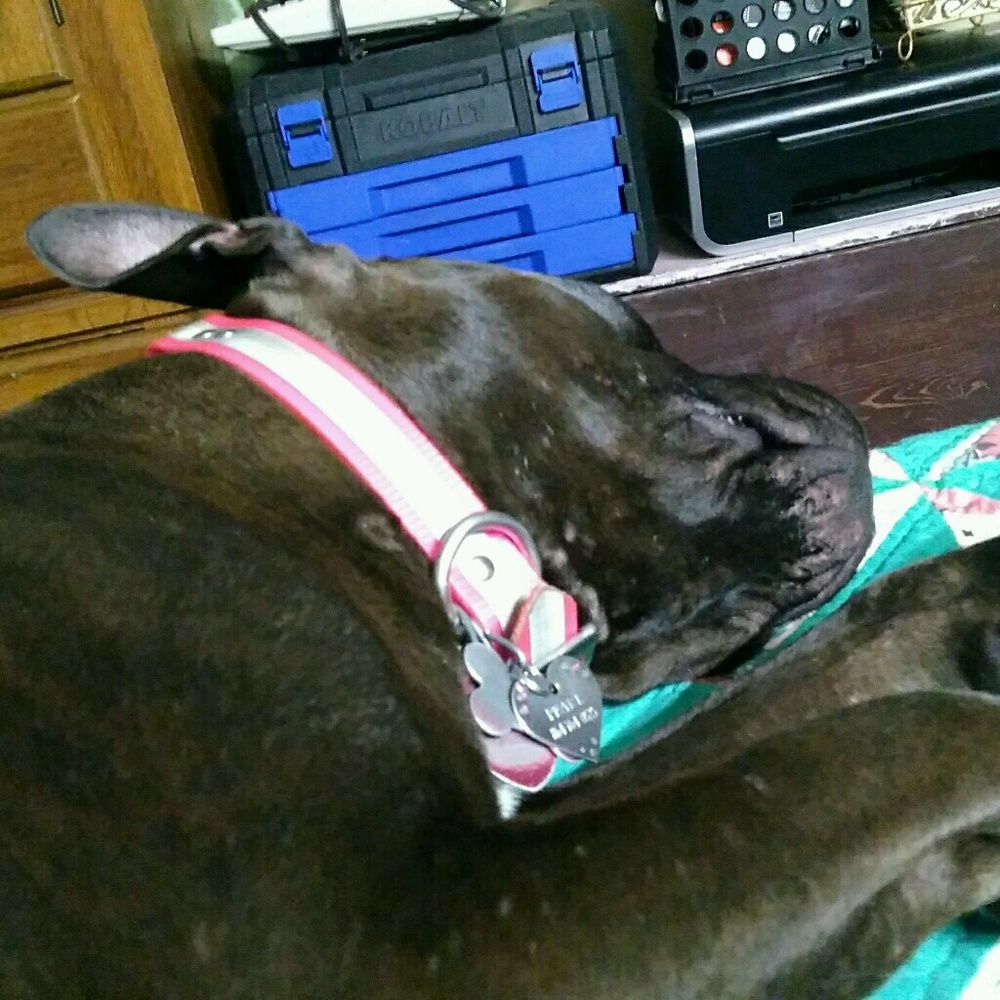 Meet your Posher, Reba