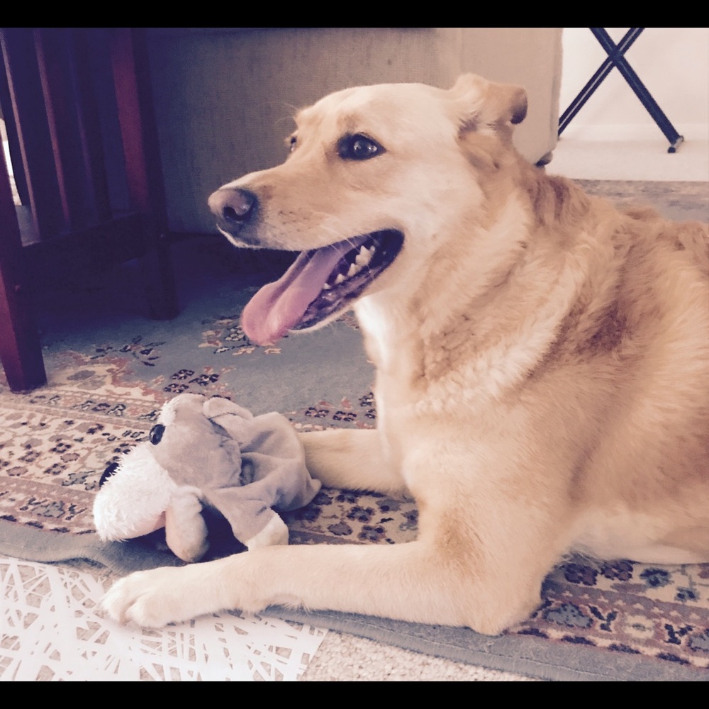 Meet your Posher, Lynn