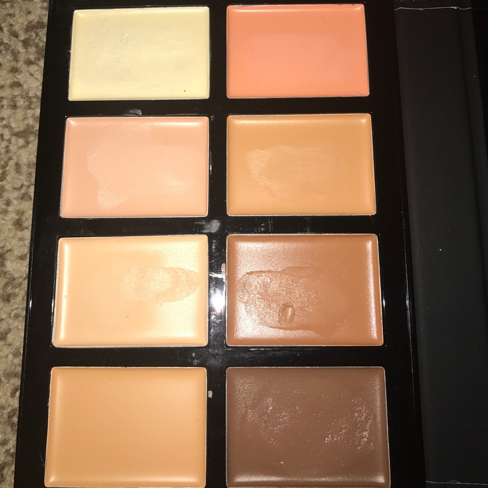 Pro fusion concealer kit
