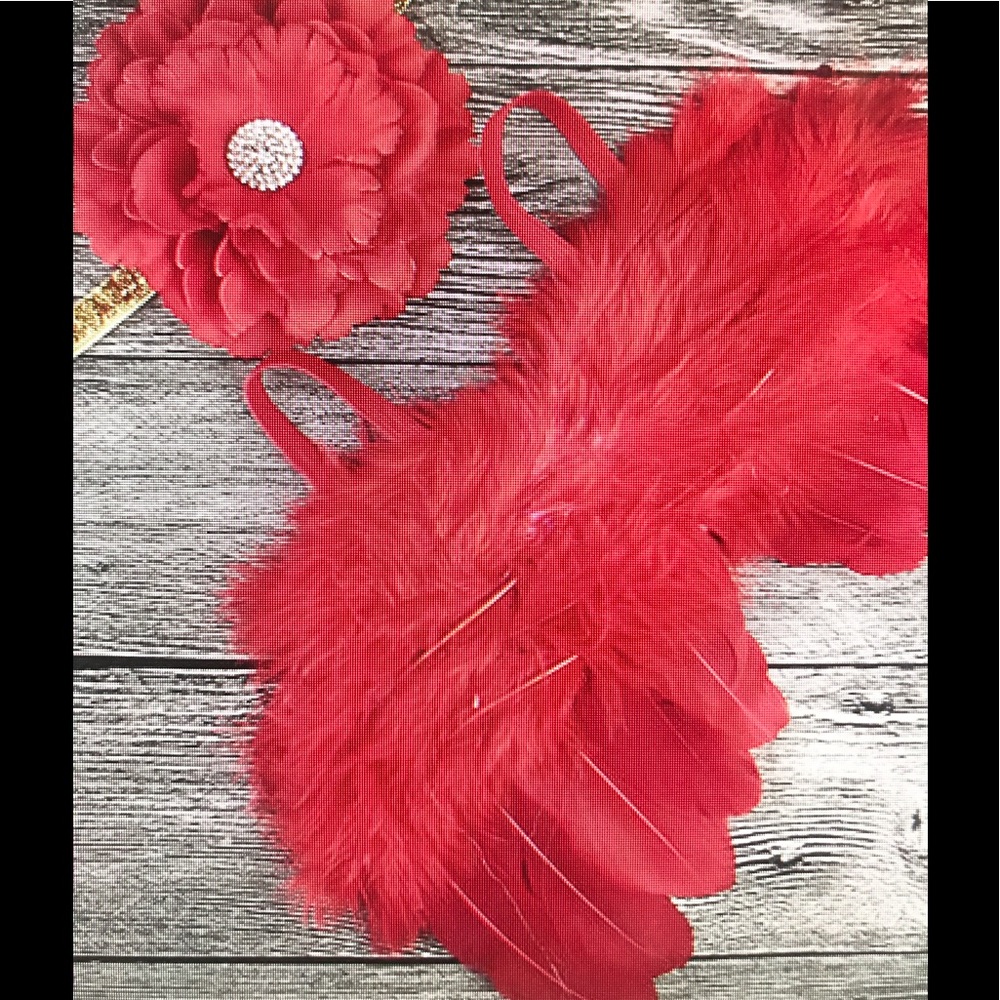 Baby's Feather  Angel Wings and Flower Headband