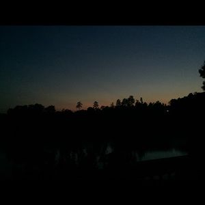 Meet your Posher, Abbey