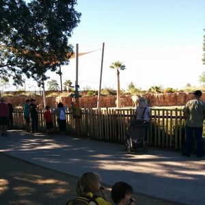 Meet your Posher, Fernanda