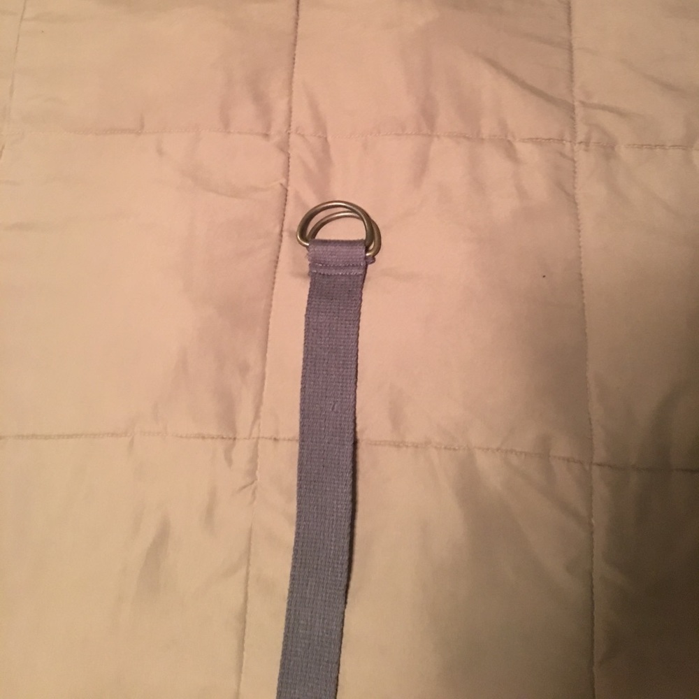 American Eagle Belt