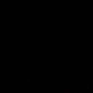 Meet your Posher, Ayse