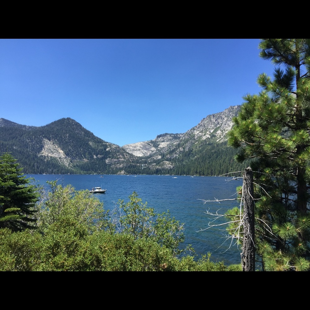 Meet your Posher, Cesario