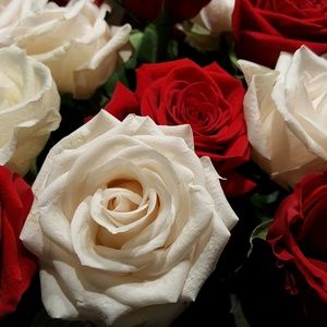 Meet your Posher, Ana