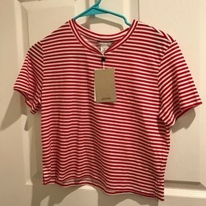 red & white striped crop top