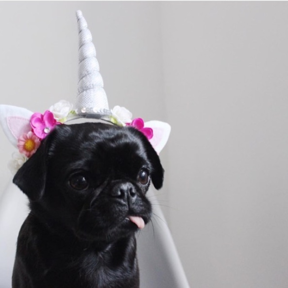 Meet your Posher, Mylah