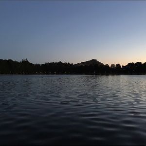 Meet your Posher, Angelina