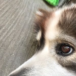 Meet your Posher, Brandon