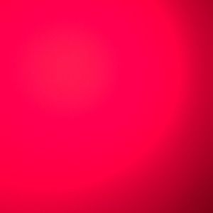 Meet your Posher, Lily