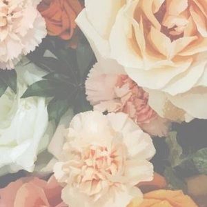 Meet your Posher, Dean