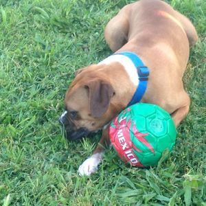 Meet your Posher, Kevin