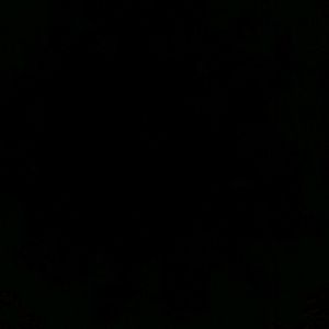 Meet your Posher, Jackson