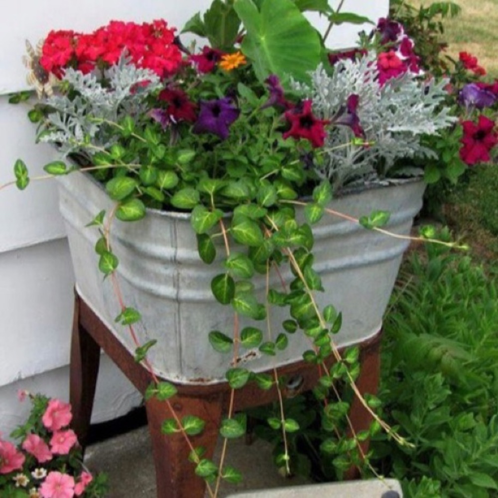 Meet your Posher, Danae