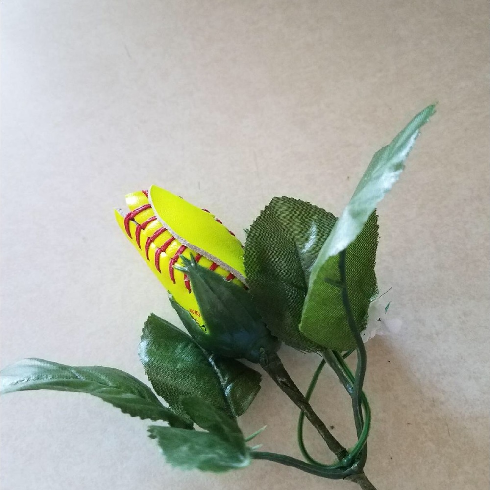 Meet your Posher, Daniela