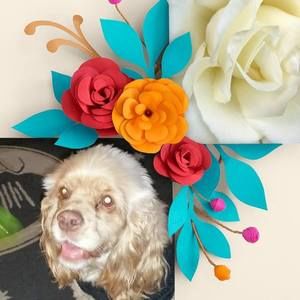 Meet your Posher, Terri