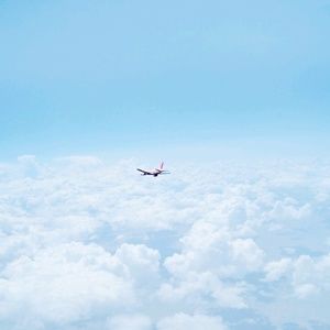 Meet your Posher, Wanda