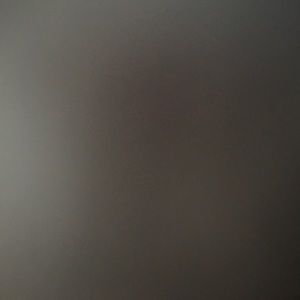 Meet your Posher, Allie