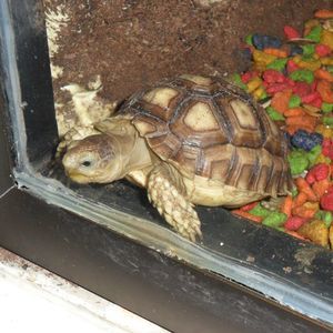 Meet your Posher, Nuria