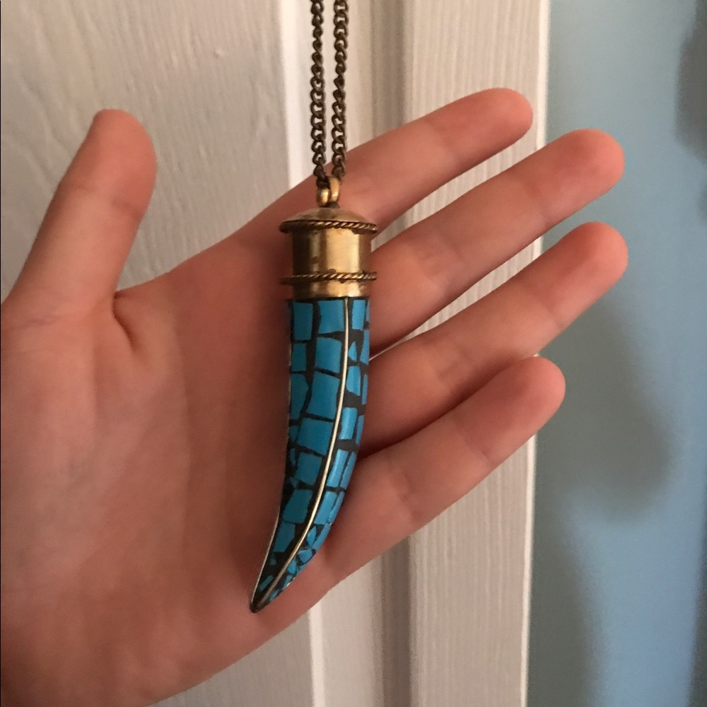 Blue horn necklace!