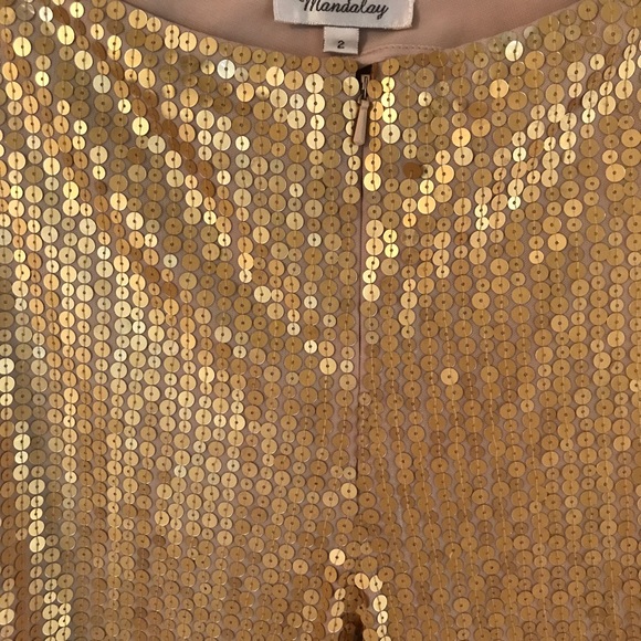 Gold Sequin Pants - Picture 3 of 5