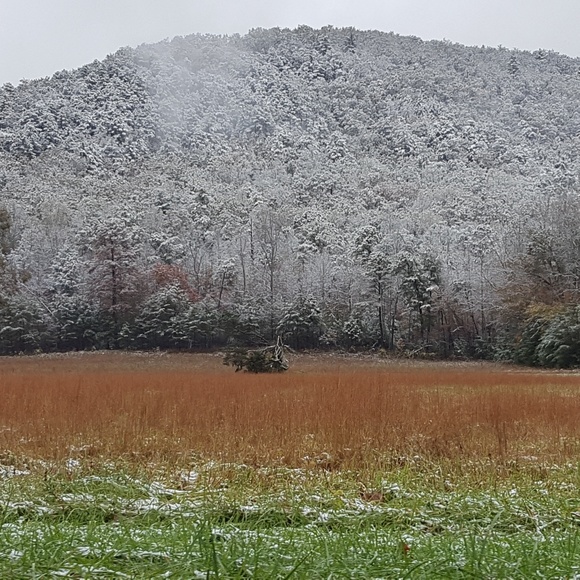 Meet your Posher, Renee - Picture 2 of 3