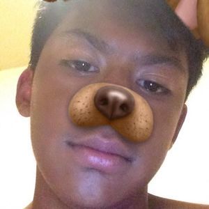 Meet your Posher, Niko