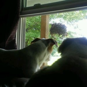 Meet your Posher, Leah