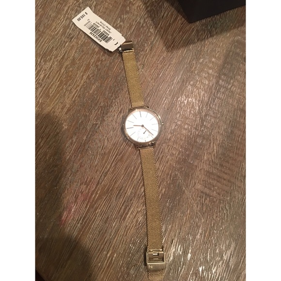Authentic Skagen Watch