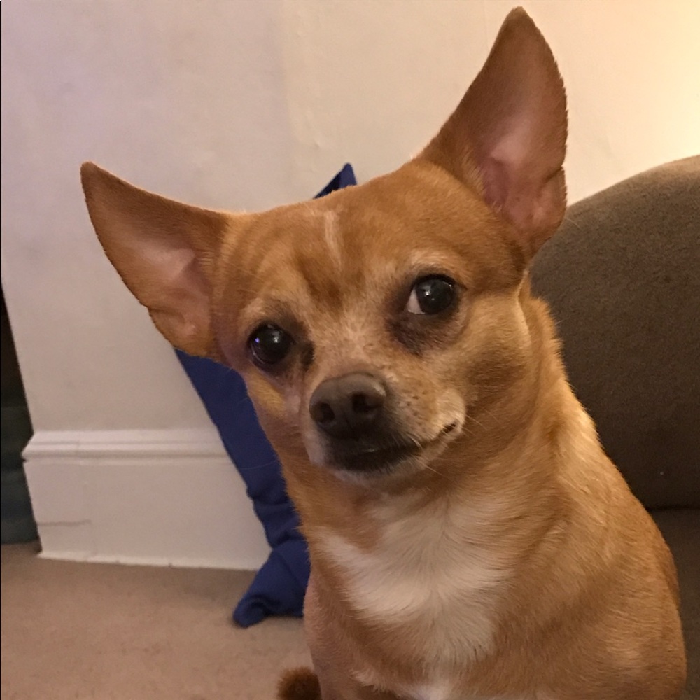 Meet your Posher, Elizabeth