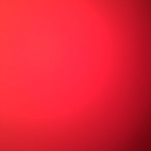 Meet your Posher, Jerry